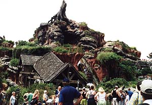 splashmountain.jpg (26046 bytes)